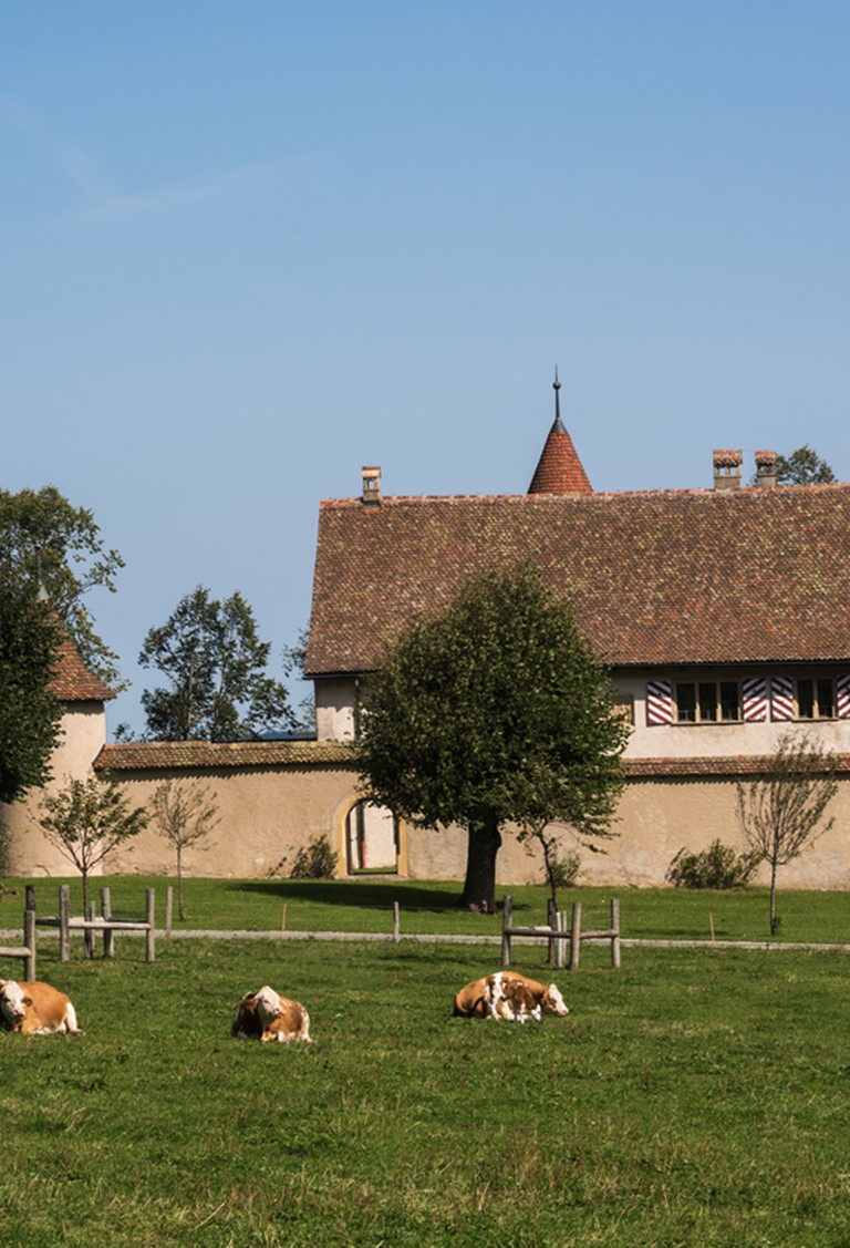 Das Château de Raymontpierre heisst Sie ab Juni 2024 willkommen