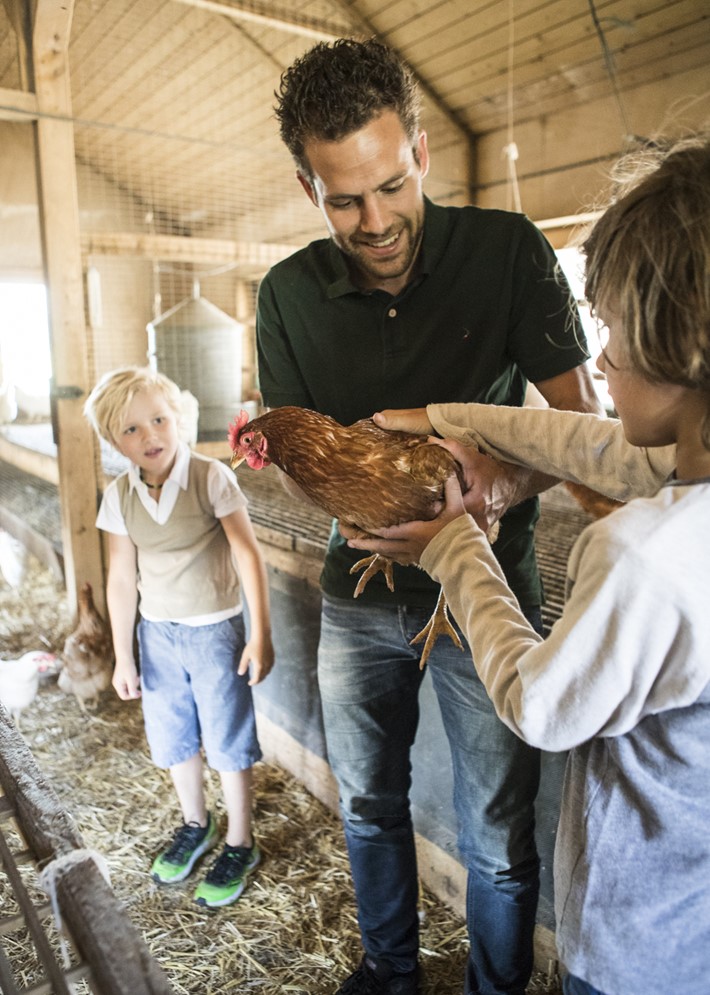 Swiss Farm Experience