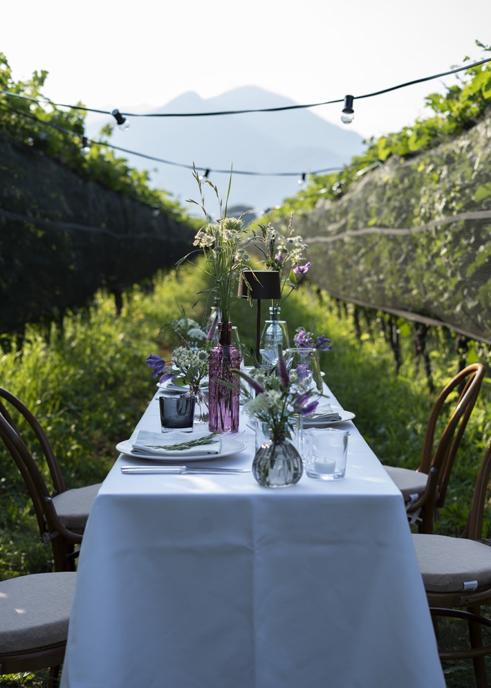 Abendessen zwischen den Weinreben