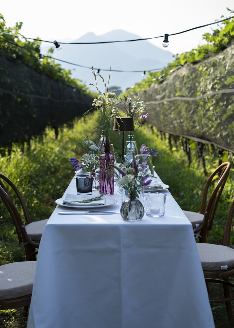 Abendessen zwischen den Weinreben